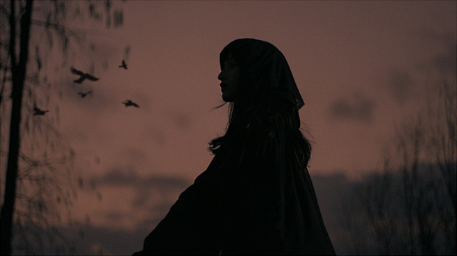 raven - ARRIFLEX - C...