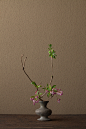2012年4月16日（月）
馬酔木は、毎年心待ちにする花のひとつ。
花＝接骨木（ニワトコ）、赤花馬酔木（アカバナアセビ）
器＝須恵器壺（古墳時代）