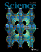 Contents | Science 319, 5863