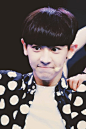 EXO 朴灿烈