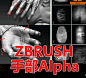 zbrush手部雕刻用alpha 雕刻素材 2019 4r7 4r8 CG素材3D建模人体