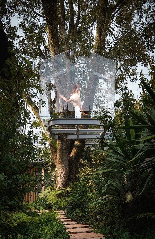 墨西哥一座花园中的玻璃树屋 Glass ...