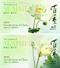 编号：84530024381751135【享设计】源文件下载-夏至节气海报