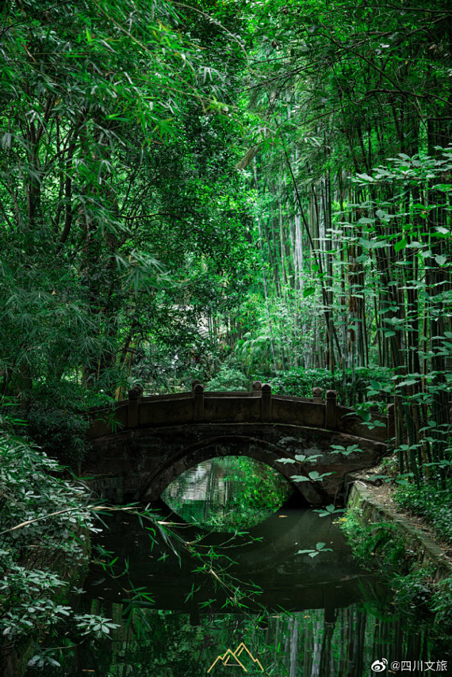 古木参天、竹林溪径，充满了人文雅趣。
川...