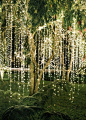 Pretty hanging lights: http://www.stylemepretty.com/destination-weddings/2016/04/09/christmas-inspired-wedding-in-mountains-of-honduras/ | Photography: Vicki Grafton - http://vickigraftonphotography.com/