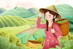 茶叶包装盒 【酷图网】茶叶包装盒,小青柑,小青柑包装,红茶包装,红茶,正山小种,红茶设计,日照绿茶,绿茶包装,日照绿茶包装,茶叶,茶包装,大红袍,大红袍包装,金骏眉,西湖龙井,普洱茶,毛尖,茶叶海报,茶叶海报设计,茶叶包装设计,功夫茶包装,茶盒包装,茶包装设计,茶叶礼盒,高档茶叶盒,安化黑茶,黑茶包装,茶叶包装