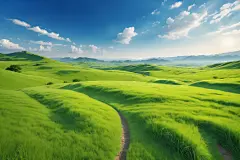 自然风景青草摄影图