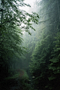 (11) Tumblr