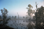 Tumut Wetlands - Jamie Hladky : TUMUT WETLANDS

One beautiful foggy sunrise in Tumut, New South Wales.


22 August 2014