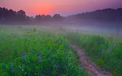 云雾缭绕的季节电脑壁纸 第8页-ZOL桌面壁纸