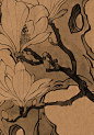 桐园白描课程教材-6_3_彦青_来自小红书网页版