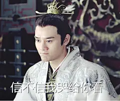 王凯表情包 哭包靖王 琅琊榜 萧景琰 凯凯