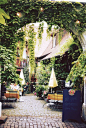 Edenkoben, Rheinland-Pfalz, Germany。德国莱茵兰-普法尔茨州的埃登科本。被称为“疗养城市”的埃登科本，是德国葡萄走廊上的一个依山的小城，四周被葡萄种植园环绕，自然风光优美。这里是德国鲜活细胞疗养的发源地。莱茵兰-普法尔茨州的葡萄酒之路是德国乃至世界最具历史意义的葡萄酒游览路线。埃登科本就在这条葡萄酒之路上。 #古镇# #景点#
