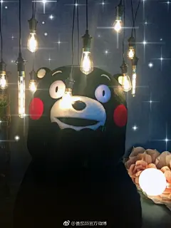 #熊本熊表情包##每日一推# 
#日常迷信# 转发这条微博9月会交好运哦！ ​​​​