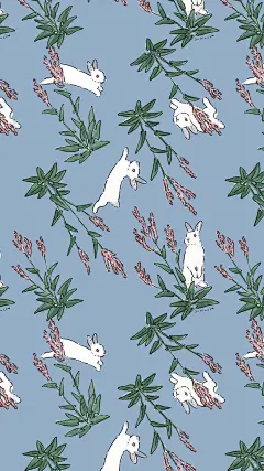 Bunny - 日本插画师 Schinako 兔子插画作品 http://paper.ipad.ly