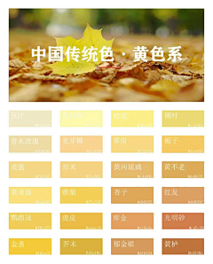 ℡元寳采集到颜色 色卡