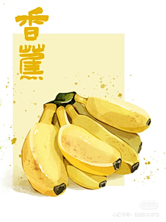 玄都--宏采集到水果插画------香蕉