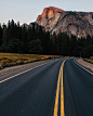 238)half dome meadow ∕∕ been way too long since I've been to Yosemite.Happy 100th bi...