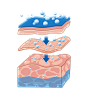 bb9338fb0afb20590f343a41cce3a9af4edcec8e16d2a-UHADCs
