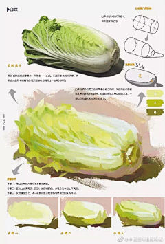 SWQRTG采集到水粉静物-临摹-9-12