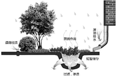 耶博小可爱biu~采集到Landscape丨雨水花园、海绵城市