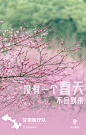 武汉官方发布32张海报，32个地方逐一表达对援助医护的谢意，让人泪目！_齐聚 : 截止3月17日0时~24时，武汉新增疑似病例成功清零，另多地疑似病例也都有所好转。那些齐聚武汉的全国各地医护人员，终于可以陆续回家了！ 武汉文化和旅游局发布了32张感恩海报，虽然没有华丽的设计、优美的诗句…