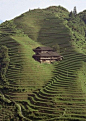 Favorite Places / Longsheng Rice Terrace, Guangxi, China