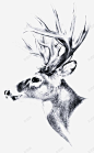 鹿头手绘 平面电商 创意素材