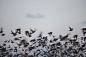Rinko Kawauchi摄影作品 - 观念摄影 - CNU视觉联盟