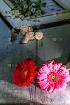 非洲雏菊,结婚第二十五周年纪念日,25周年,生日卡,垂直画幅,贺卡,复活节,古董,悲痛,玫瑰