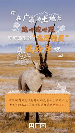 寂离采集到2025年海报