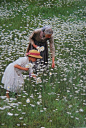 Grandmother with grand daughter flower field daisies
