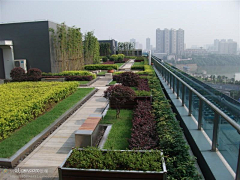 H-种植设计采集到屋顶花园