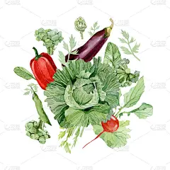 水彩蔬菜食品。农贸市场。农产品圆形构图新鲜有机食品印刷在明信片，贴纸，标志，贺卡。