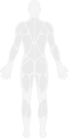 back