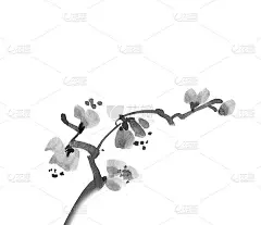 雍容华贵的水墨水彩插画