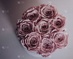 无穷花