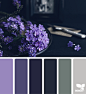 { color setting } image via: @beverlylcazzell_lavenderbleu