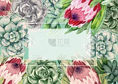 水彩框架。多肉植物，有变形花。颜色的仙人掌。