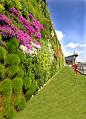 国际最新景观垂直绿化设计图集，打包下载链接http://t.cn/EUlgLgg