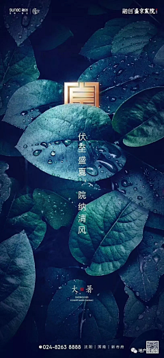 悠袖采集到大暑