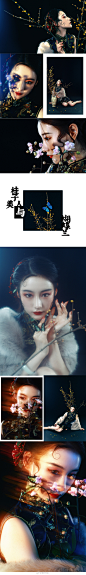 『美人图』
       之
——“桂子、美人与蝴蝶兰。”

“来世变成一只蝴蝶吧，落在你的窗檐。
不声也不响，
你轻轻看我一眼，我就送你一整个春天的花香。”...展开全文c