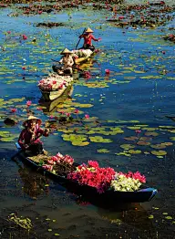 世界各地的市场