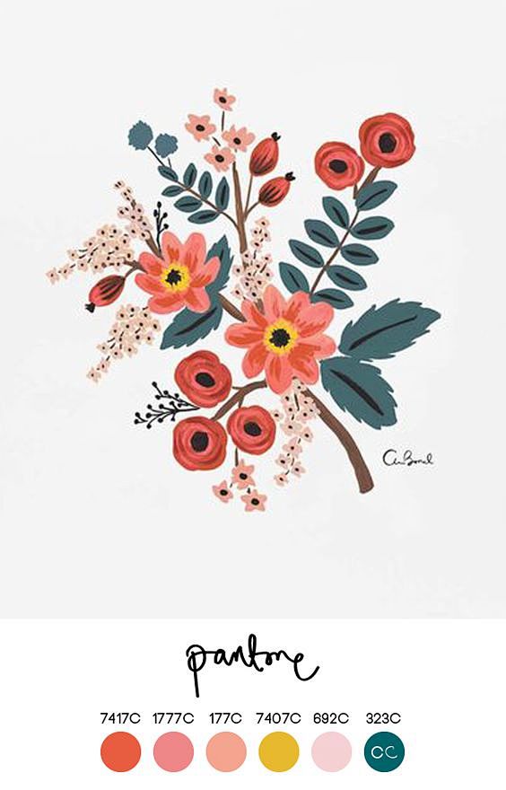 花束植物插画