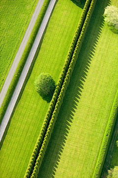 可乐橙_ColaChan采集到photography. 绿