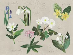 #插画# 可爱的花花世界~丨作者是超爱的拼贴风插画师 Clover Robin ​​​​