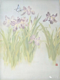 李晋文｜2018天津美院研究生毕业展【天涯艺术1094期】 : 李晋文 李晋文 2011-2015年，就读于天津美术学院中国画学院花鸟系，并获得学士学位，师从霍春阳、刘文生、周午生、李云涛、霍岩、陈福春、赵栗晖等先生。 2015-2018年，就读于天津美术学院中国画学院花鸟系，工笔花鸟