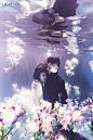 花海