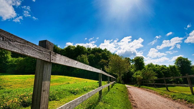 country road summer ...