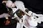 L2QyWHlncWt6T0hmV3lsd2dndHplU0w1TUZXbktEMHk2cHdBSDJKelI4VlRxNHlzMyt1SU9BPT0.jpg (3000×1993)